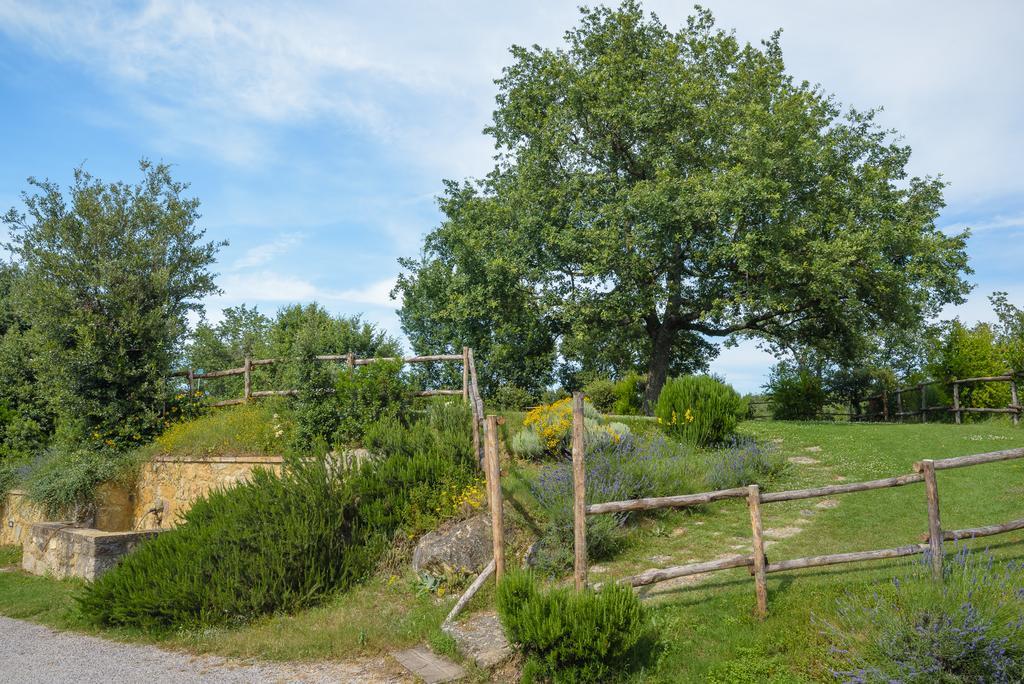 Agriturismo Cerreto Pienza Exterior foto