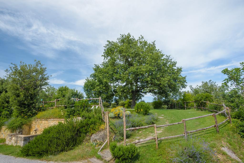 Agriturismo Cerreto Pienza Exterior foto