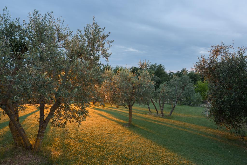 Agriturismo Cerreto Pienza Exterior foto